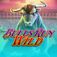 Bulls Run Wild icon